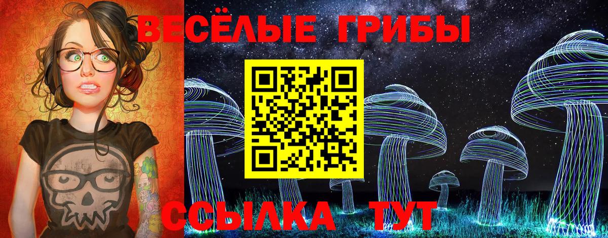 Галлюциногенные грибы мухоморы Коряжма
